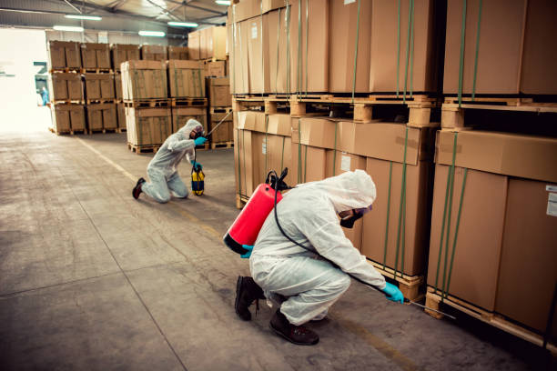 Best Termite Control Services  in Airport, CA