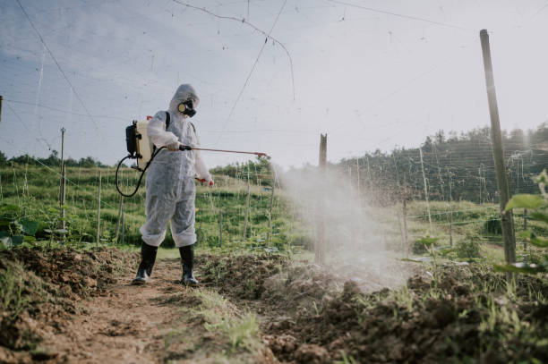 Best Ant Control Services  in Airport, CA
