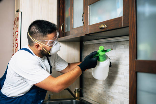 Best Wildlife Control Services  in Airport, CA