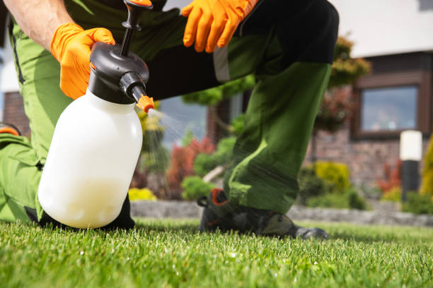 Best Exterminator Services  in Airport, CA