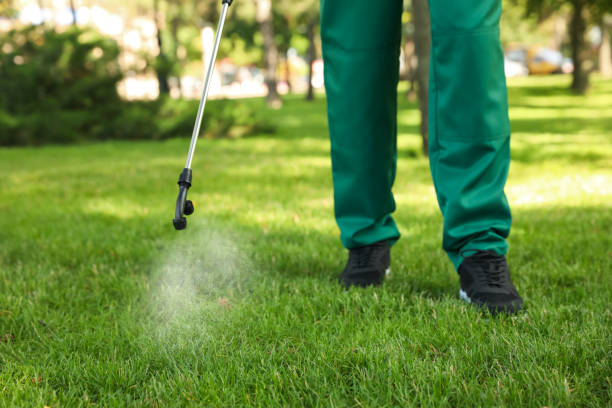 Best Pest Inspection Near Me  in Airport, CA