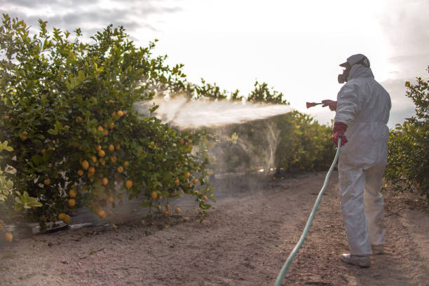 Best Cockroach Control Services  in Airport, CA